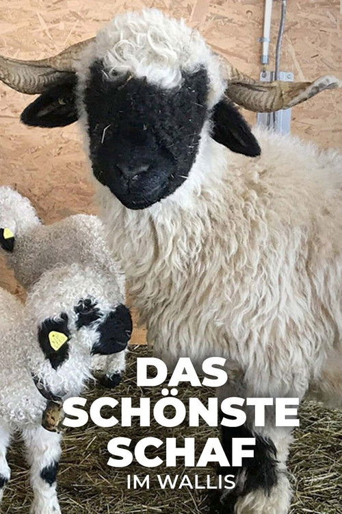 Das schönste Schaf im Wallis (2022) poster