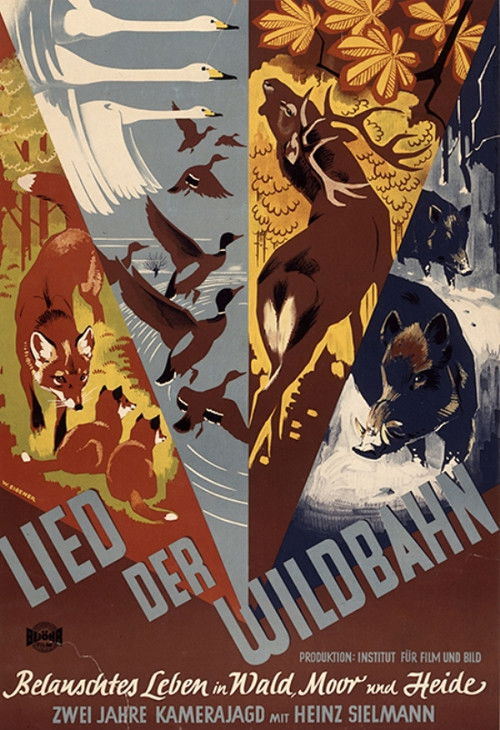 Lied der Wildbahn (1950) poster