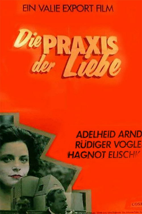 The Practice of Love (1985) poster