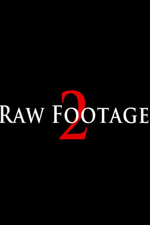 Raw Footage 2 (2016) poster