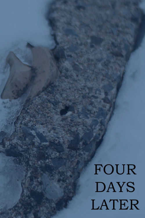 FOUR DAYS LATER (2022) poster
