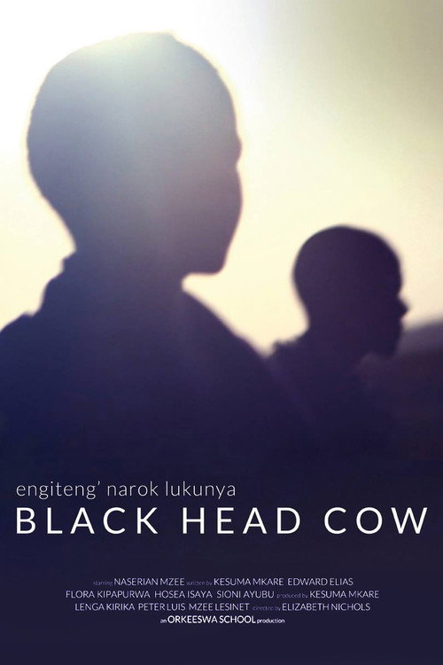 Black Head Cow (2017) poster