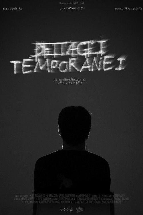 Dettagli Temporanei (2024) poster