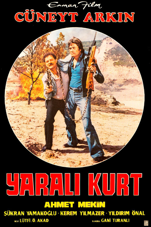 The Wounded Wolf (1972) poster