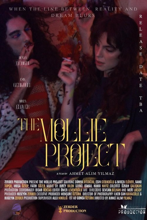 The Mollie Project (2025) poster