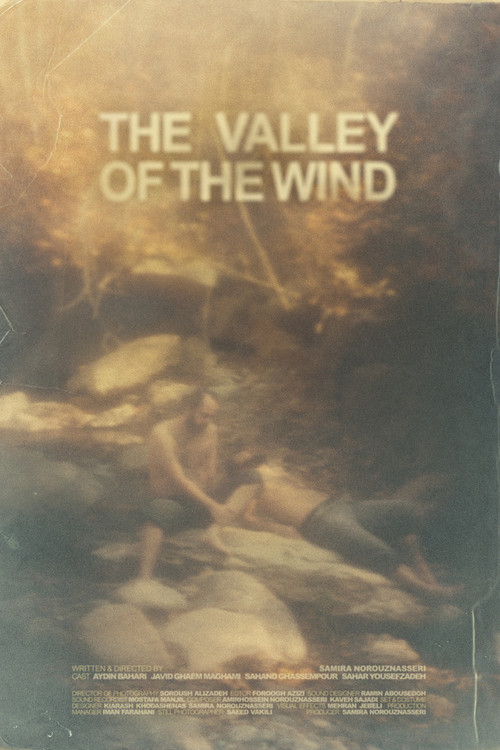 The Valley of the Wind (2022) poster