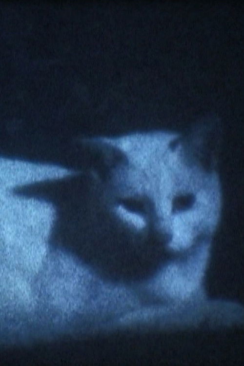 DARK BLACK SHADOW PEOPLE poster