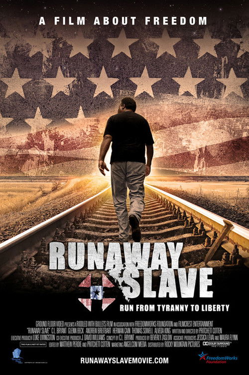 Runaway Slave (2012) poster