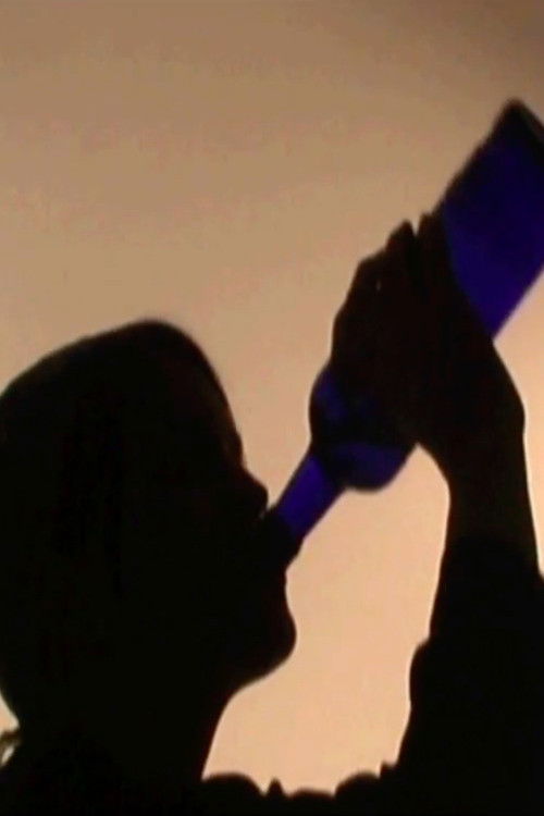 Kitchen as Culture: Bulgarian Domestiticians in Dialogue (2015) poster