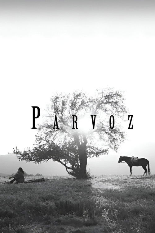 Parvoz (2023) poster