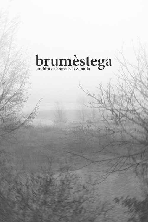 brumèstega (2022) poster