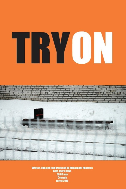 Try On (2010) poster