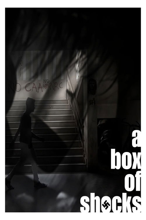 A Box of Shocks (2022) poster