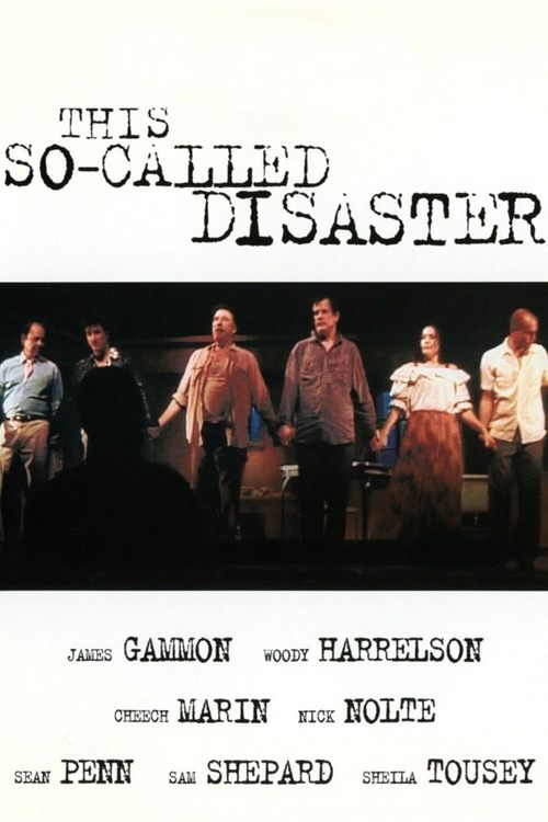 This So-Called Disaster (2003) poster