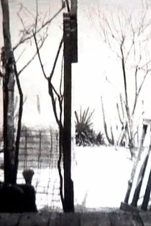 3’35” de Bonheur (2002) poster