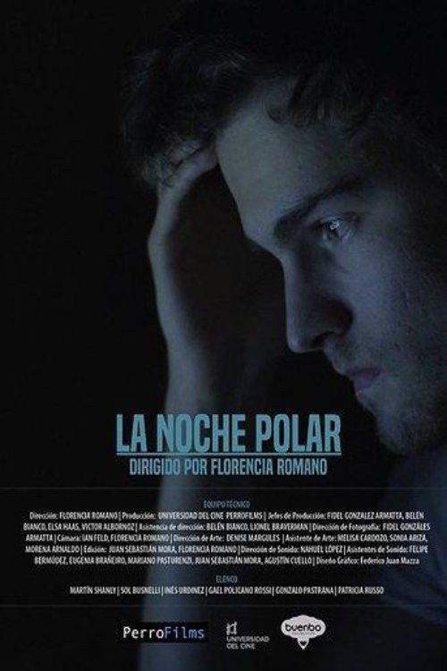 La noche polar (2016) poster