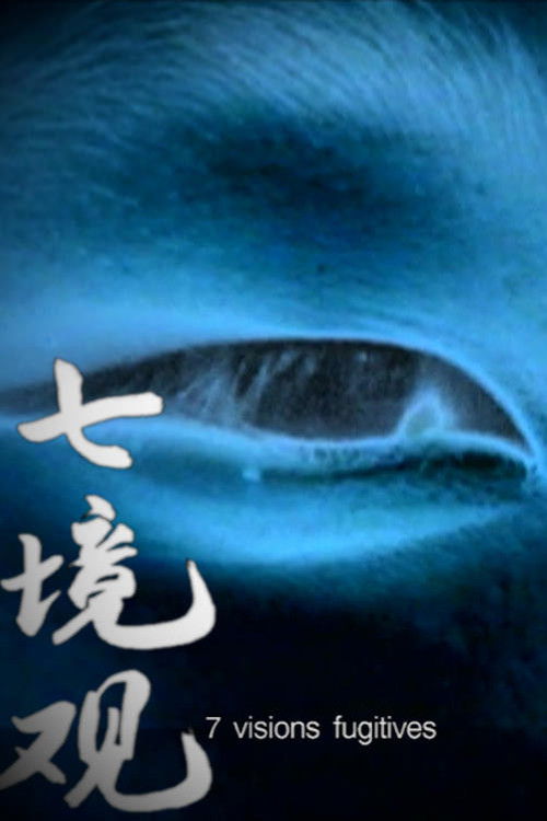 Seven Fugitive Images (1995) poster