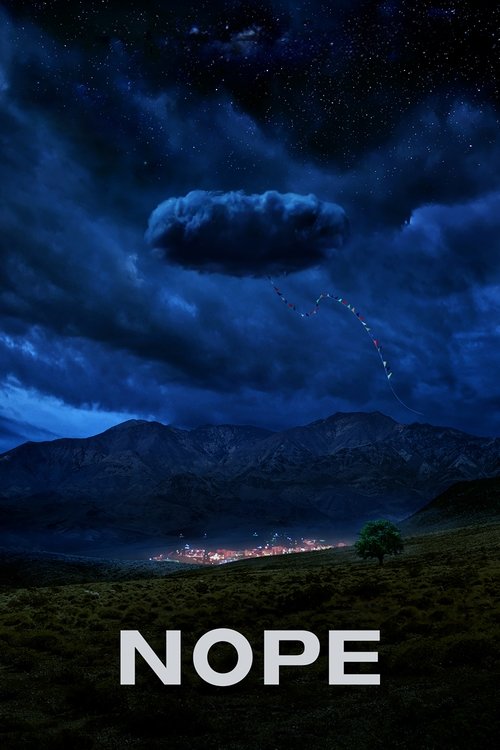 Hayır (2022) poster