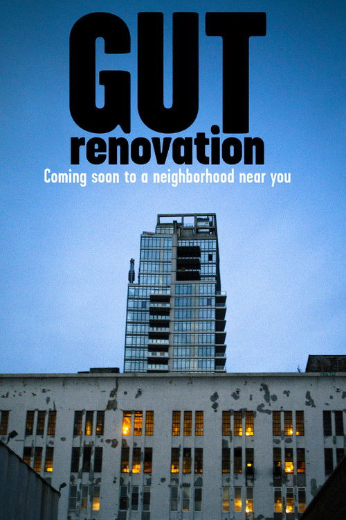 Gut Renovation (2013) poster
