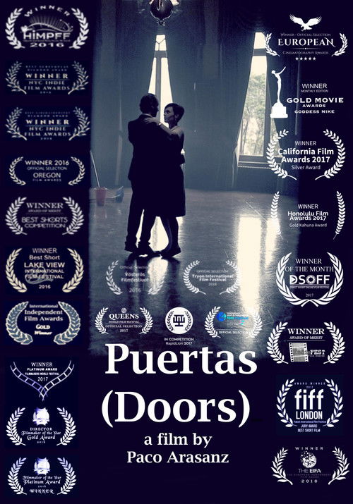 Puertas (2016) poster