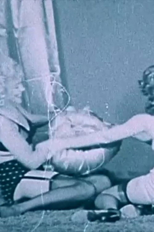 Pin Down Fight poster