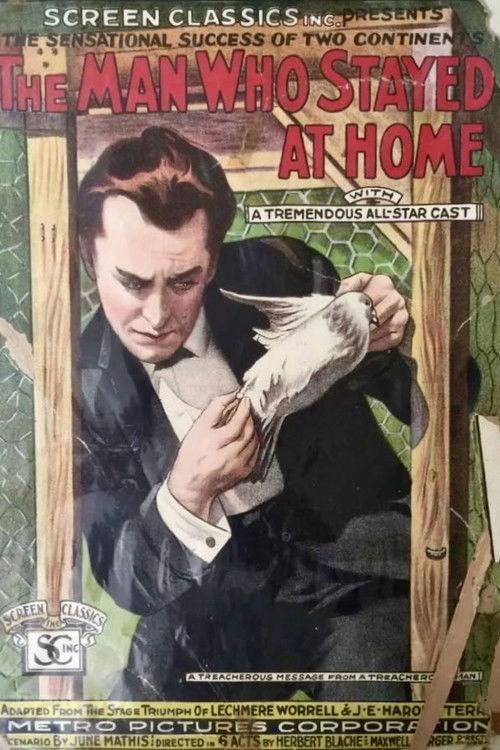 The Man Who Stayed at Home (1919) poster