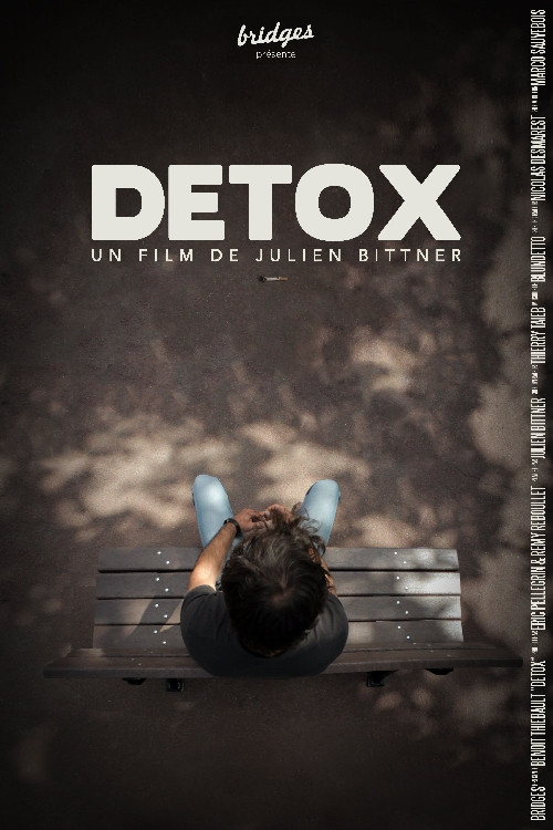 Detox (2012) poster