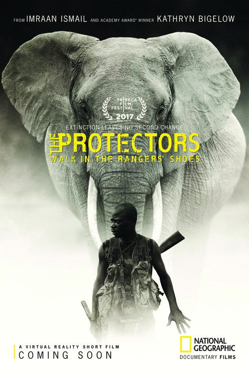The Protectors (2017) poster