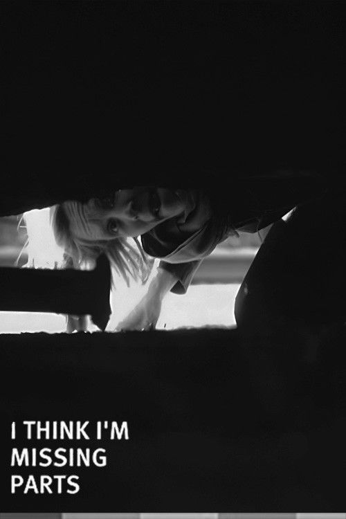 I Think I'm Missing Parts (2007) poster