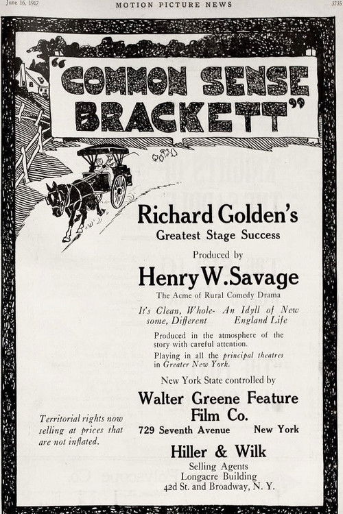 Common Sense Brackett (1916) poster