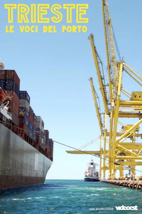 The Voices of the Harbor (2020) poster