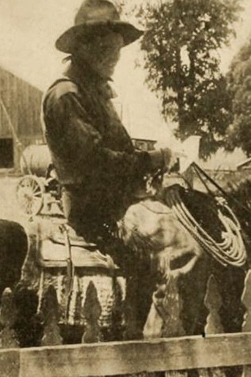 Chip of the Flying U (1914) poster