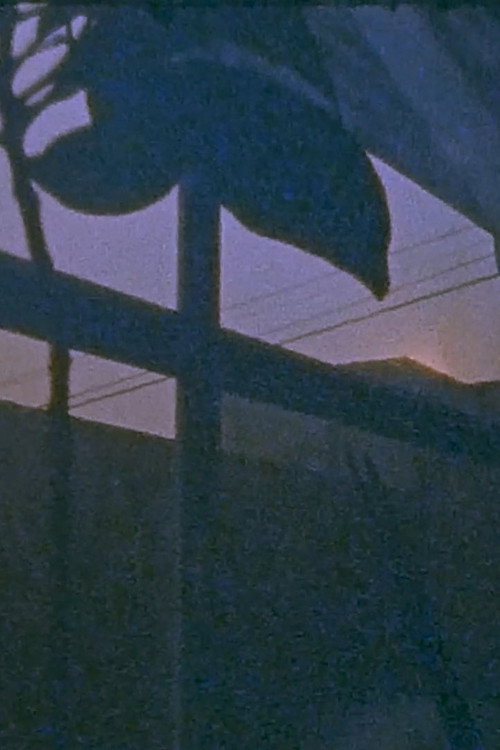 1_September (2020) poster
