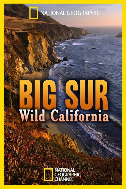 Big Sur: Wild California (2010) poster