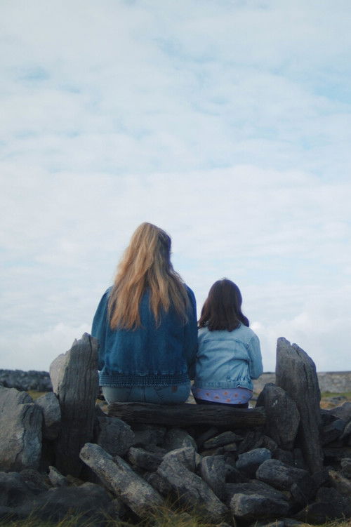 The Island (2024) poster