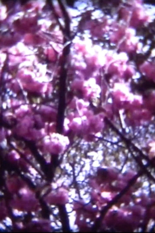 Minute papillon (2003) poster