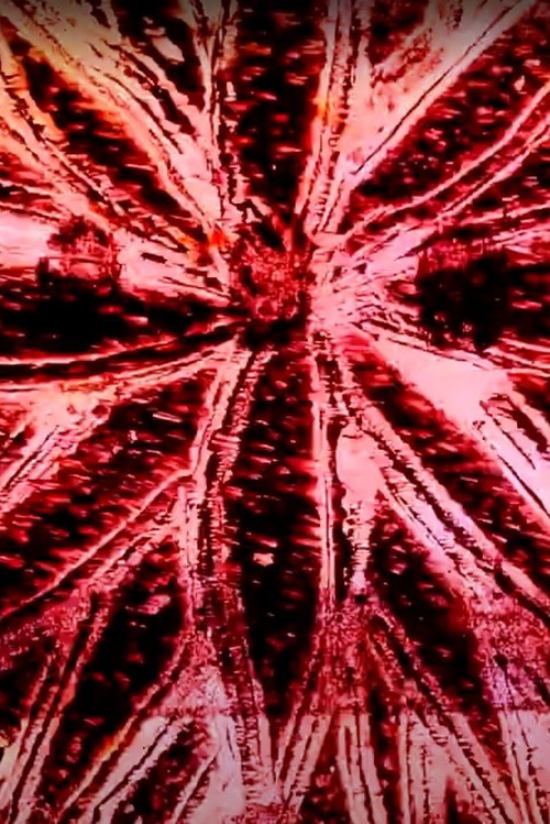 La estrepitosa vida de un maguey (2020) poster