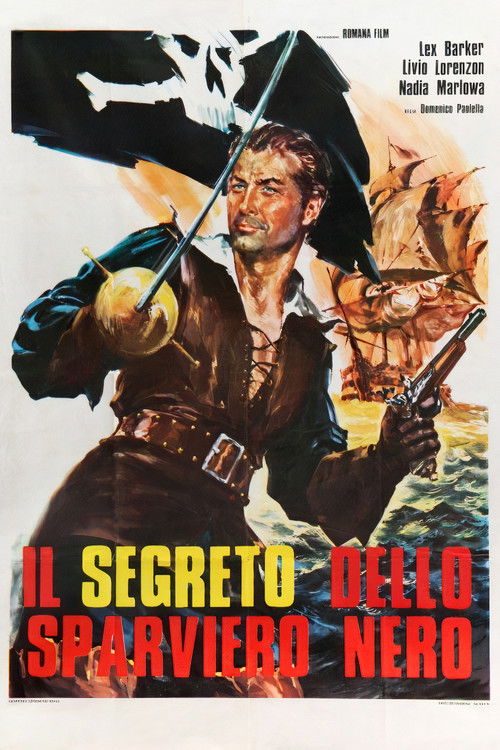 Il segreto dello sparviero nero (1961) poster