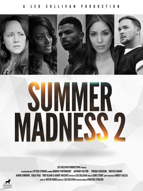 Summer Madness 2 (2019) poster