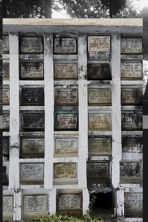 Wound Cities (2019) poster