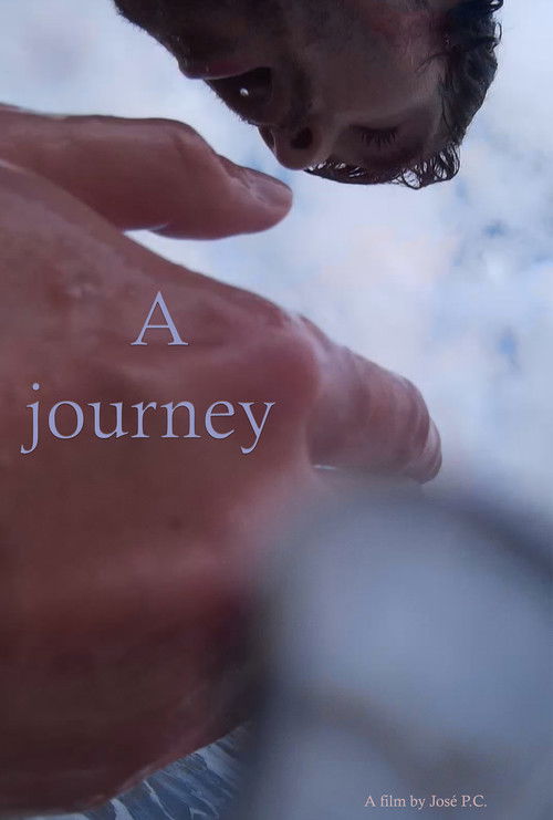 A Journey (2017) poster