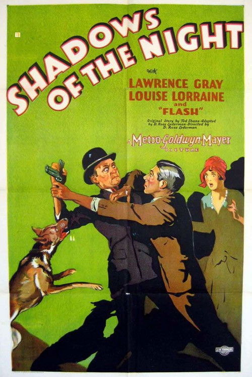 Shadows of the Night (1928) poster