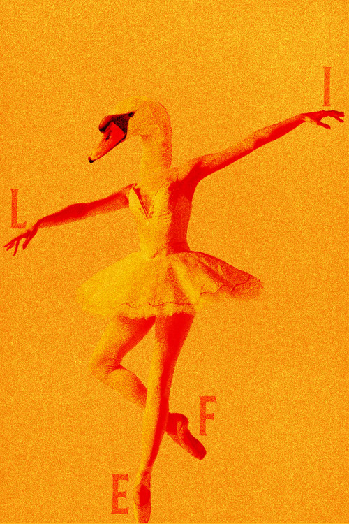 Untitled Project About Love etc. (2020) poster