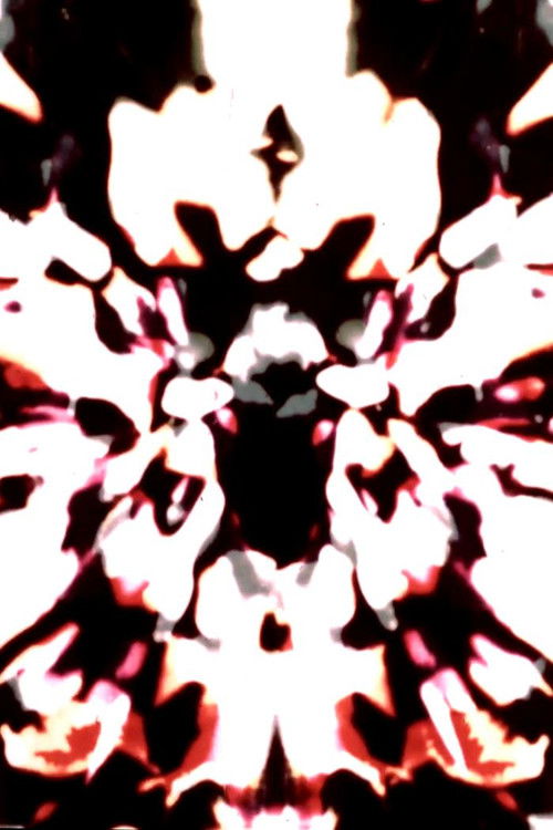 Various Loops poster