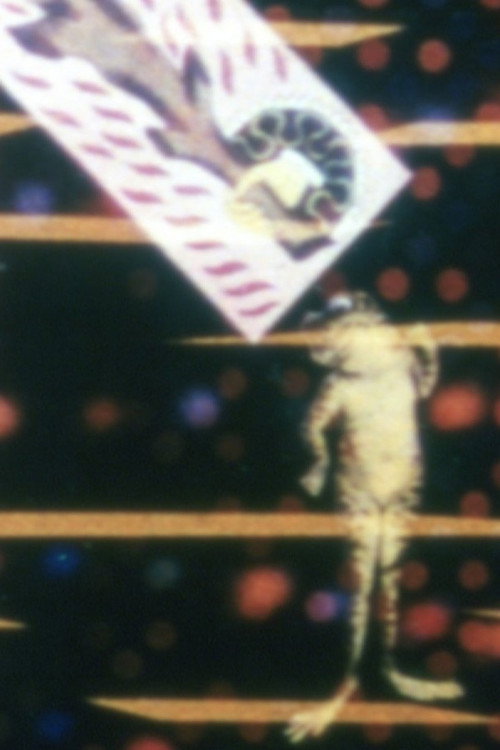 No. 17: Mirror Animations (1979) poster