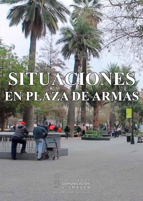 Situations at Plaza de Armas (2022) poster