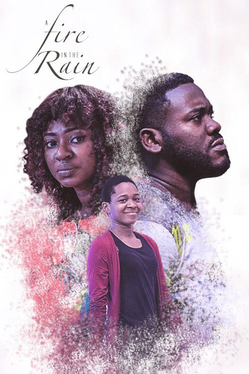 A Fire In The Rain (2017) poster