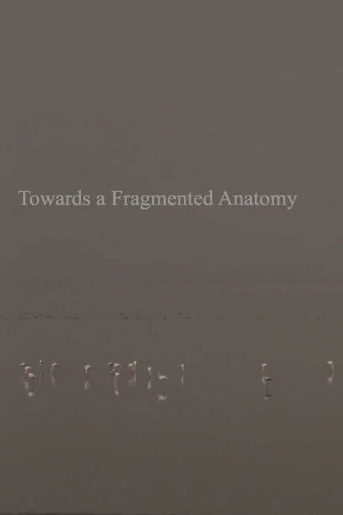 Towards a Fragmented Anatomy (2019) poster