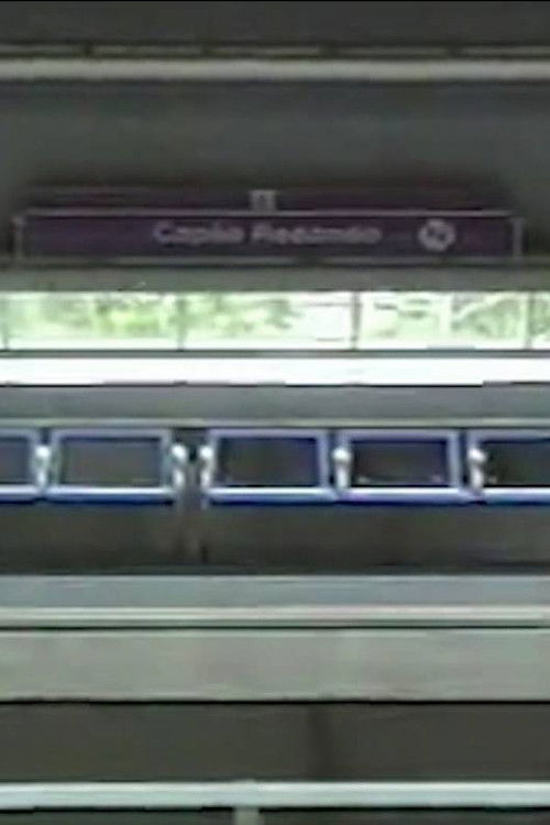 Meu Amigo Pedro Mixtape (2024) poster