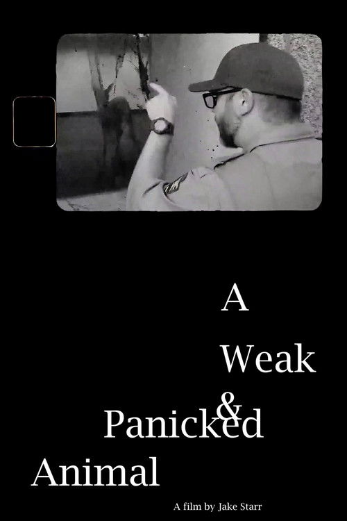 A Weak & Panicked Animal (2024) poster